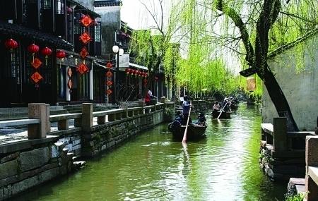西游记:八戒悟空变成小妖,沙僧变成牧民,三人赶着一群羊回家了-专业问答网站,解答你的所有疑问